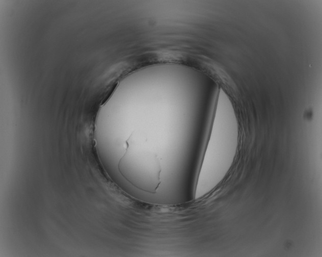 X0000093150329200709261451