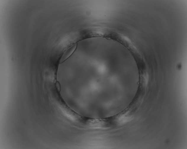 X0000093150331200709261451