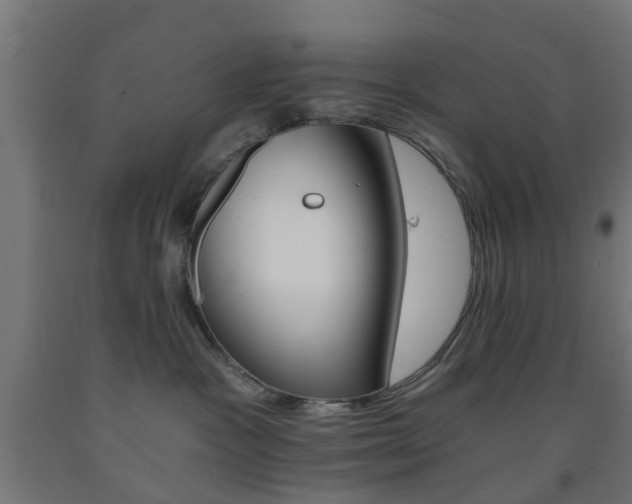 X0000093150333200709261451
