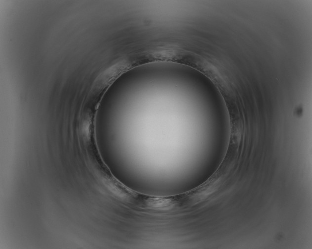 X0000093150334200709261451