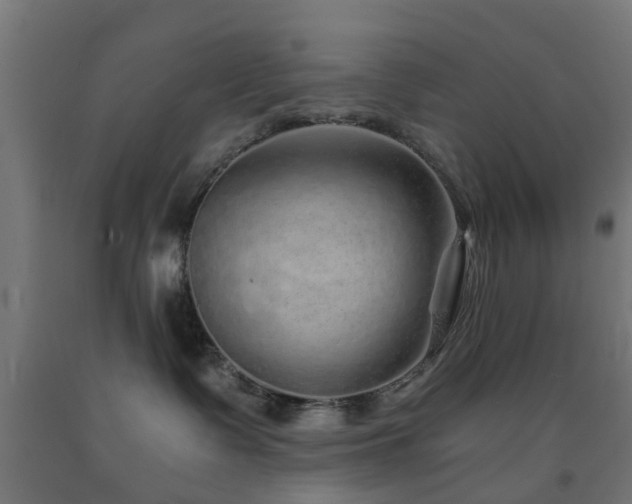 X0000093150335200709261451
