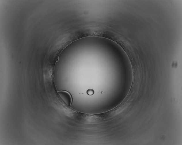 X0000093150336200709261451
