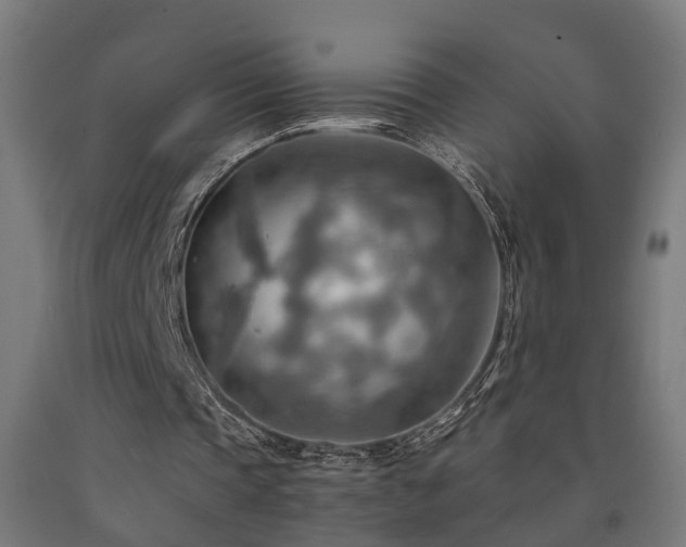 X0000093150337200709261450