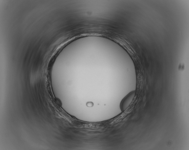 X0000093150338200709261450