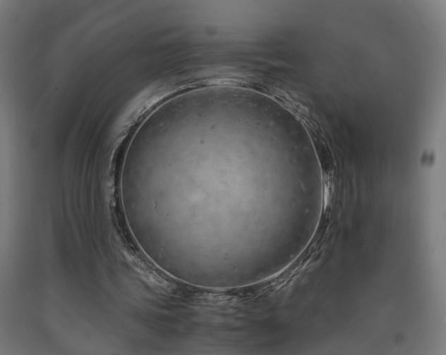 X0000093150339200709261450