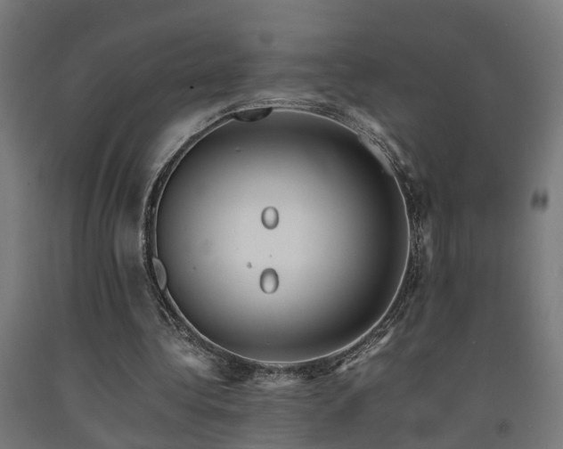 X0000093150340200709261450