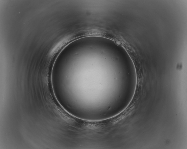 X0000093150341200709261450