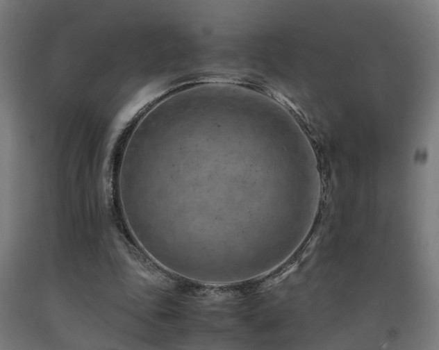 X0000093150343200709261450