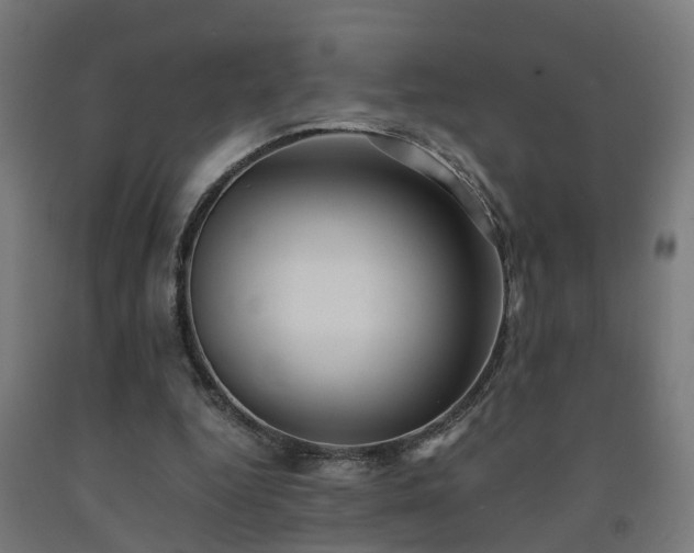 X0000093150344200709261450