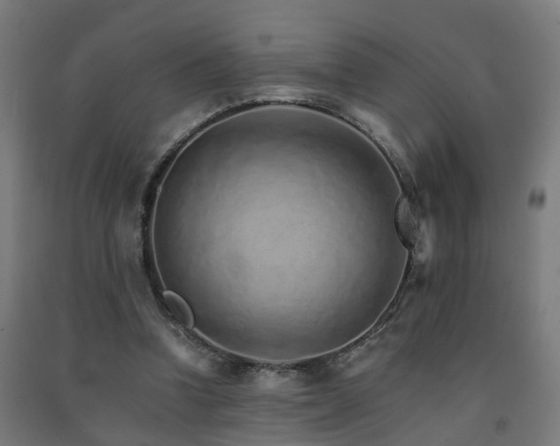 X0000093150346200709261450