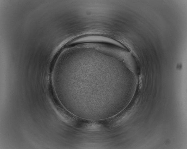 X0000093150348200709261450