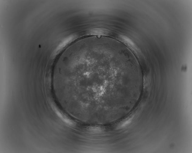 X0000093150349200709261450