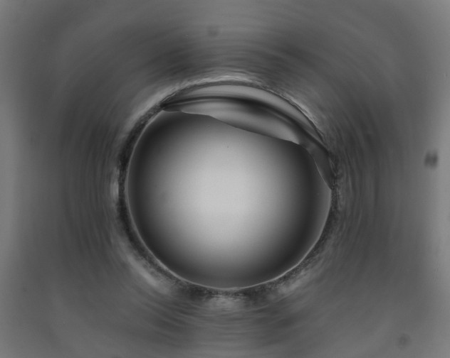 X0000093150350200709261450