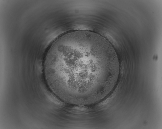X0000093150351200709261450