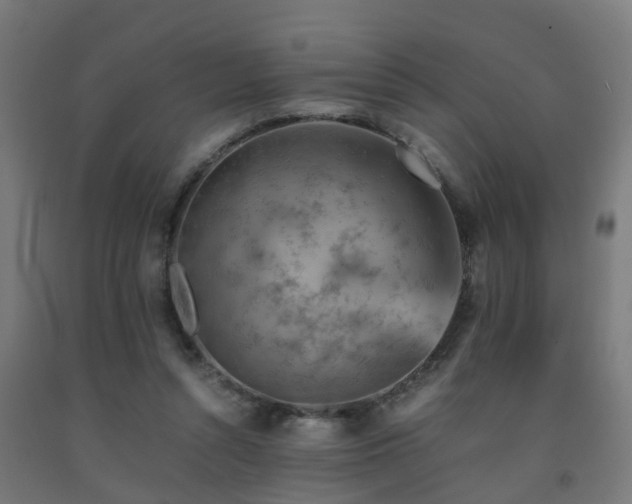 X0000093150352200709261450