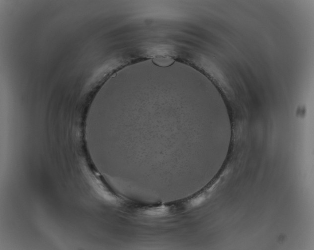 X0000093150353200709261450