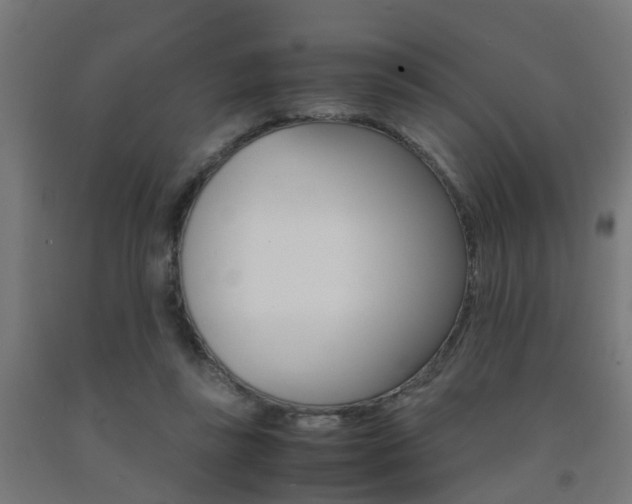X0000093150355200709261450