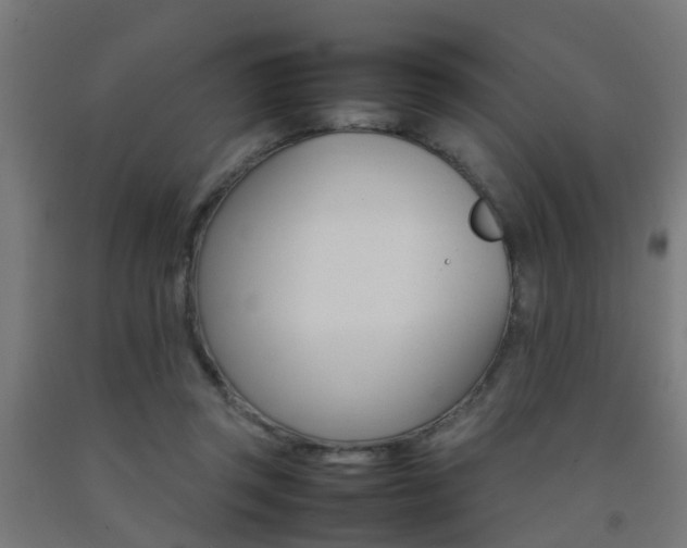 X0000093150357200709261450
