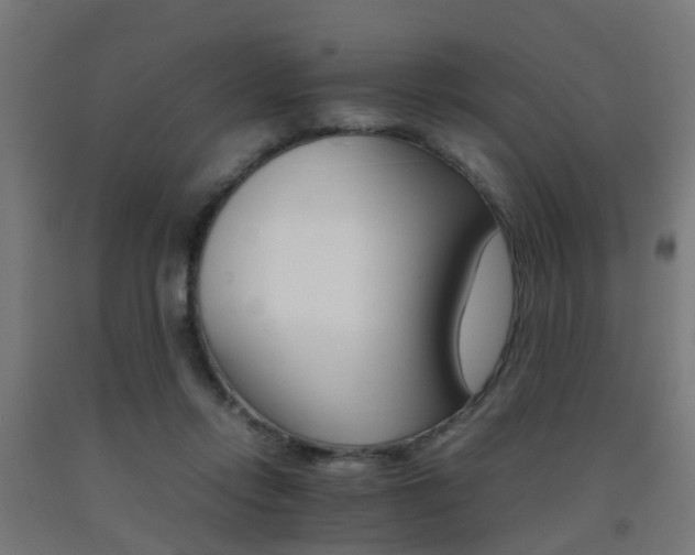 X0000093150358200709261450