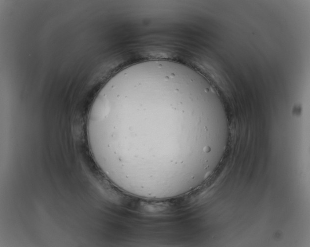 X0000093150359200709261450