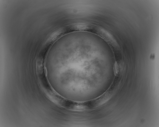 X0000093150360200709261450