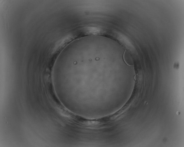 X0000093150361200709261450