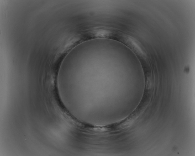 X0000093150363200709261450
