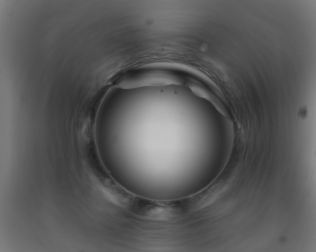 X0000093150364200709261450
