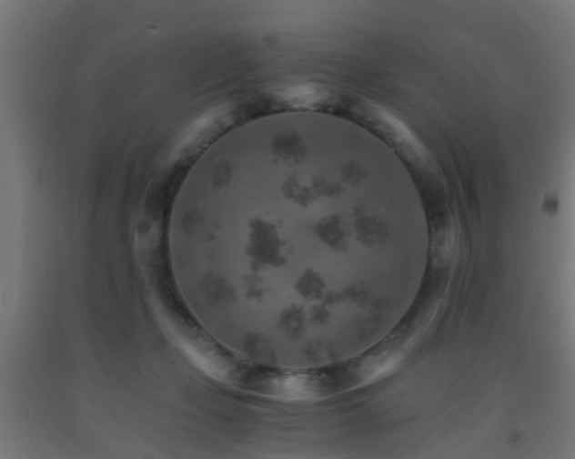 X0000093150365200709261450