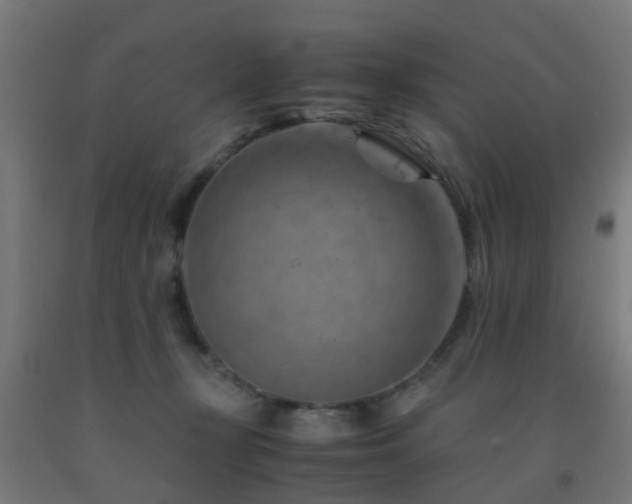 X0000093150367200709261450