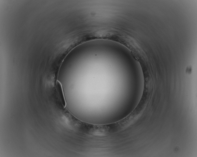 X0000093150368200709261450