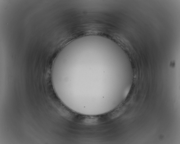 X0000093150369200709261450