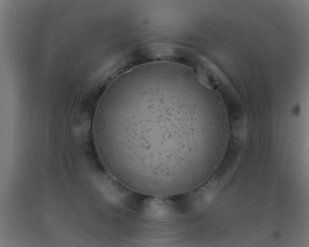 X0000093150372200709261450