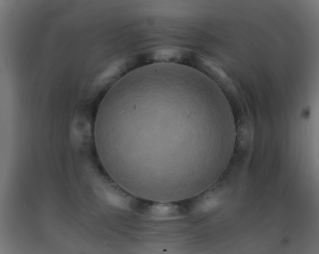 X0000093150375200709261450