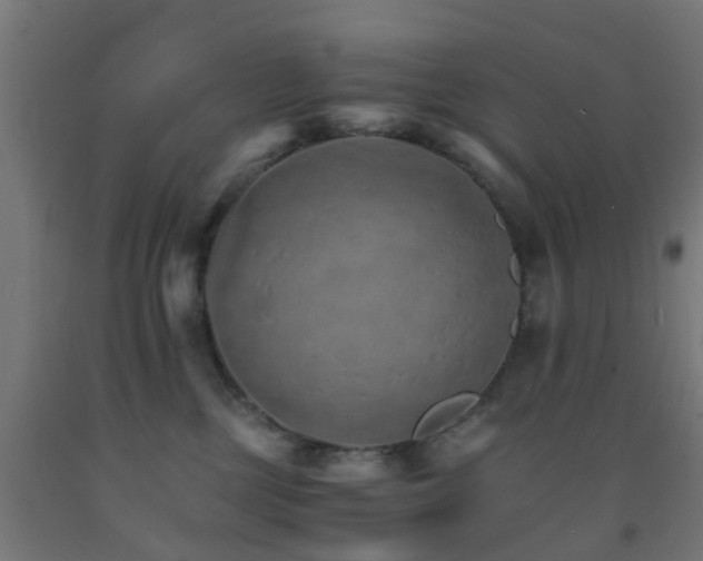 X0000093150377200709261450
