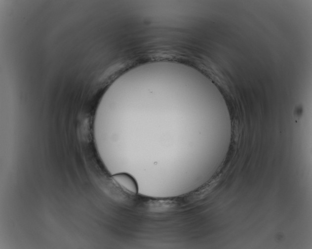 X0000093150378200709261450