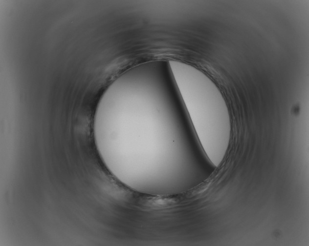 X0000093150379200709261450