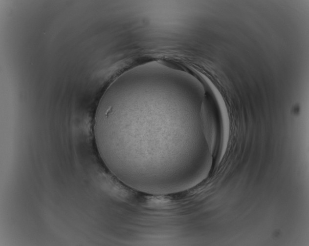 X0000093150380200709261450