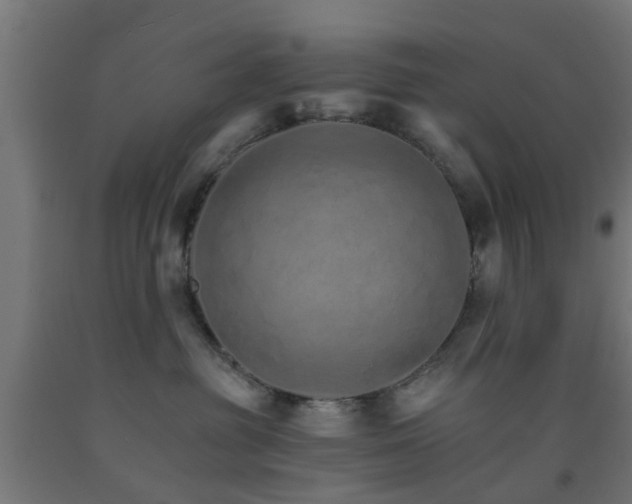 X0000093150381200709261450