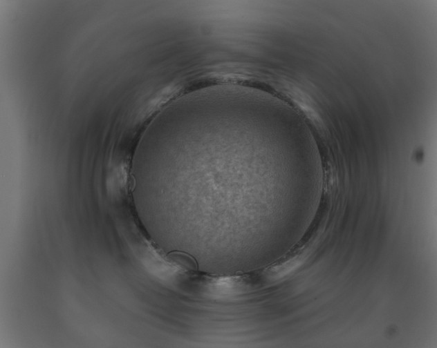 X0000093150382200709261451
