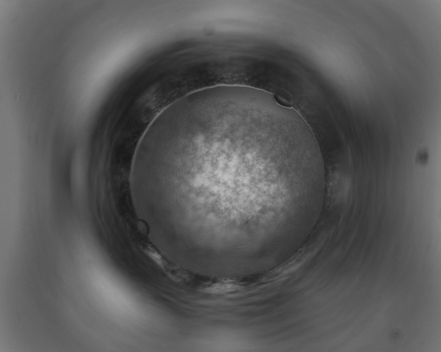 X0000093150383200709261451
