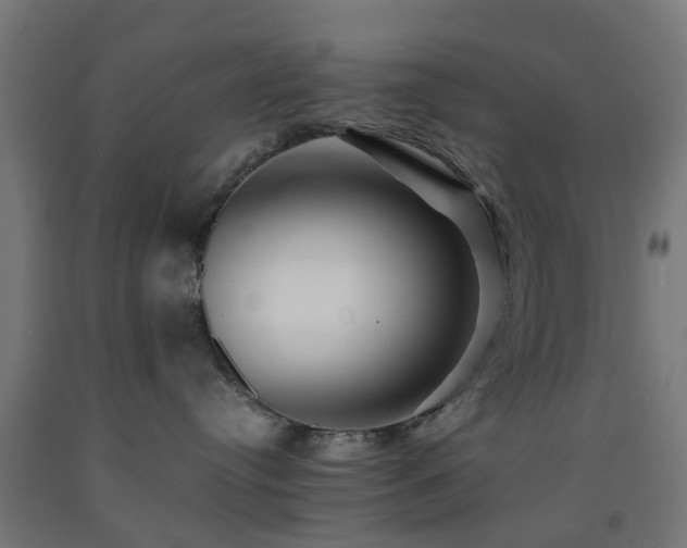 X0000093150384200709261451