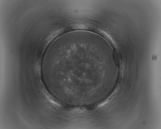 X0000093150386200709261450
