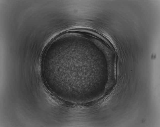 X0000093150387200709261450