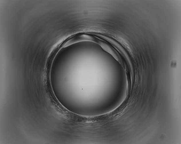 X0000093150388200709261450