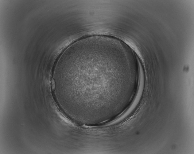 X0000093150389200709261450