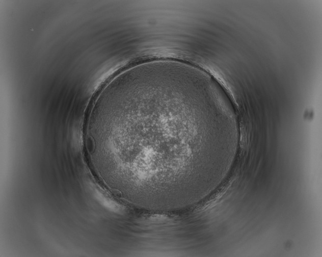 X0000093150390200709261450