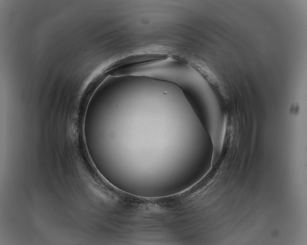 X0000093150392200709261450