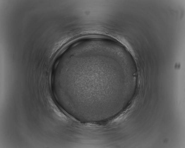 X0000093150393200709261450