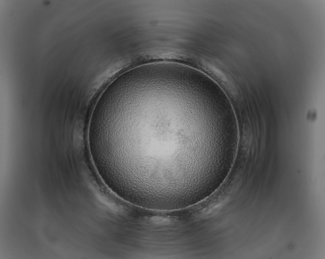 X0000093150394200709261450